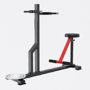 ROTAÇÃO DE TRONCO SENTADO - EVOLUTION FORCE R55