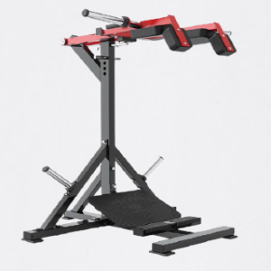 PANTURRILHA EM PÉ - EVOLUTION FORCE R48