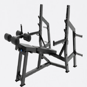 BANCO SUPINO DECLINADO - EVOLUTION FORCE R46