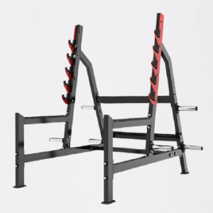 SUPORTE DE AGACHAMENTO - EVOLUTION FORCE R27
