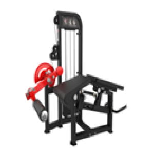 EXTENSORA/FLEXORA - EVOLUTION PRO B29