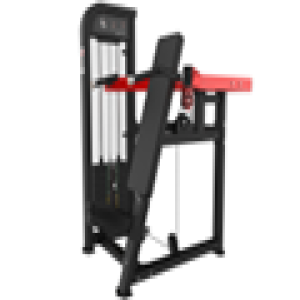 DESENVOLVIMENTO DE OMBROS - EVOLUTION PRO B6