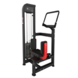 ROTAÇÃO DE TRONCO - EVOLUTION PRO B13