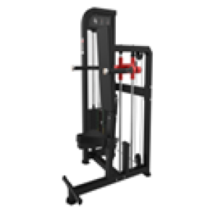 TRÍCEPS PARALELA - EVOLUTION PRO B20