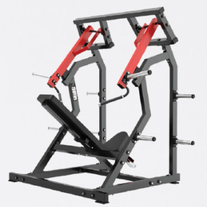 DESENVOLVIMENTO DE OMBRO - EVOLUTION FORCE R19