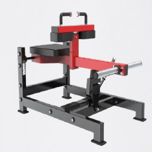 PANTURRILHA SENTADA - EVOLUTION FORCE R21