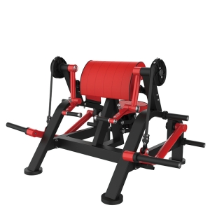 BICEPS UNILATERAL - ELITE FORCE A13