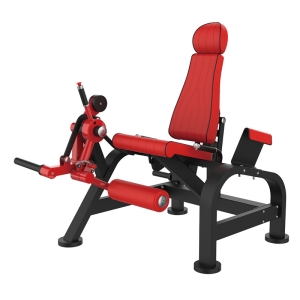 CADEIRA EXTENSORA - ELITE FORCE A21