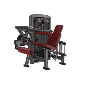 CADEIRA FLEXORA - Elite Pin16