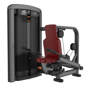 TRICEPS PARALELA - Elite Pin19