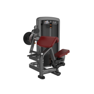 BICEPS / TRICEPS - Elite Pin28