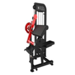 BICEPS / TRICEPS  - EVOLUTION PRO B32