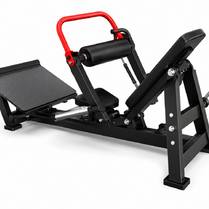 ELEVAÇÃO PÉLVICA  - EVOLUTION PRO B87