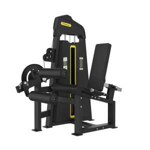 CADEIRA EXTENSORA - Evo H19