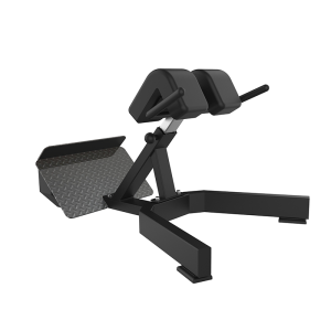 EXTENSOR LOMBAR - Evo H37