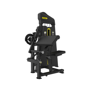 BICEPS/TRICEPS - Evo H63