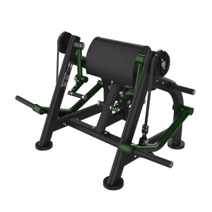 BICEPS UNILATERAL - Evo Force K53