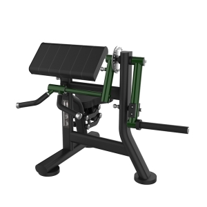 BICEPS E TRICEPS - Evo Force K55