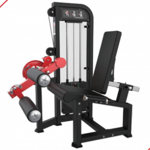 Maquina Extensora e Flexora Sentado