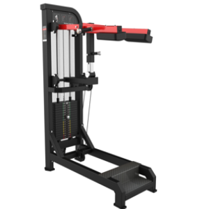 Maquina de Panturilha em pé