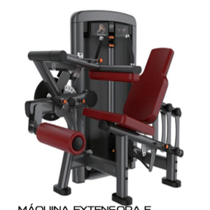 Maquina Extensora e Flexora Sentado