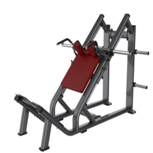 Leg Press Horizontal / Hack Machine