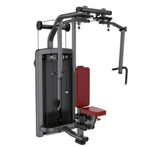 Peck Delt/ Fly Inverso - Crucifixo Invertido