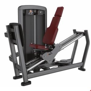 Leg Press Sentado