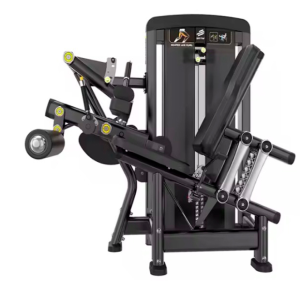 Máquina de Extensora e Flexora Sentado