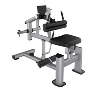 Maquina de Panturrilha Sentado