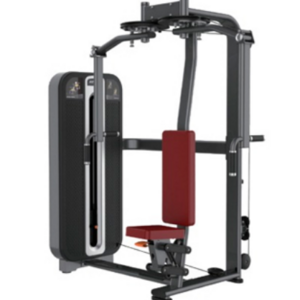 Peck Fly/ Peck Deck Inverso (Crucifixo Inverso Máquina)