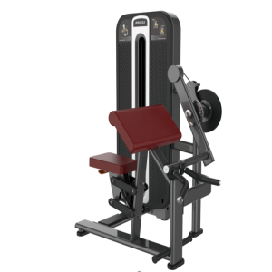 Máquina de Rosca Bíceps e Tríceps