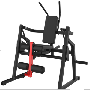 Abdominal Articulado