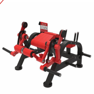 Elevação unilateral deitado