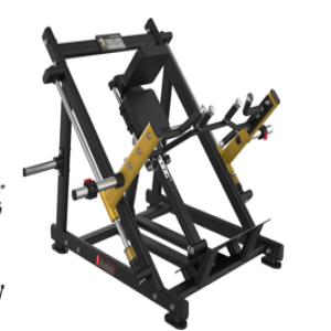 Máquina de Remada com Duplo Trilho