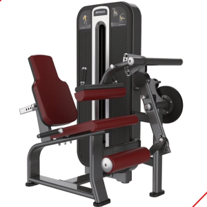 Máquina de Extensora e Flexora Sentado