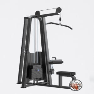 PUXADA ALTA - EVOLUTION H12