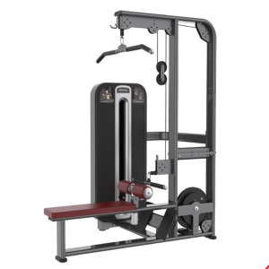 Máquina Polia Costas e Remada Baixa