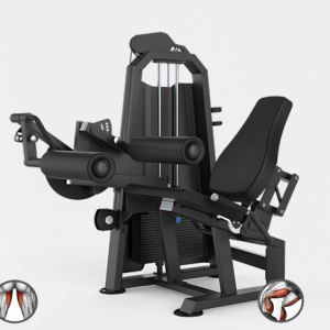 CADEIRA FLEXORA - EVOLUTION H16