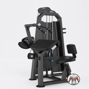 MAQUINA DE TRICEPS TESTA- EVOLUTION H19