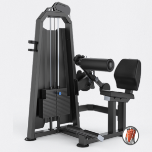 MÁQUINA DE ABDÔMEN - EVOLUTION H25