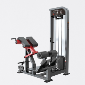 MÁQUINA DE EXTENSÃO LOMBAR