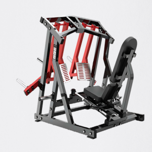 LEG PRESS UNILATERAL