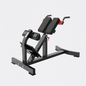 EXTENSÃO LOMBAR 45°