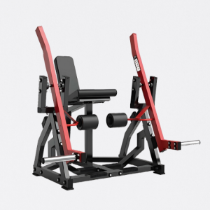 EXTENSORA UNILATERAL