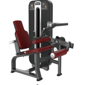 Maquina Flexora Sentado