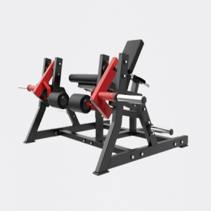 EXTENSORA UNILATERAL