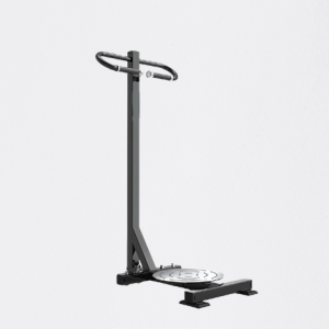 ROTAÇÃO DE TRONCO EM PÉ