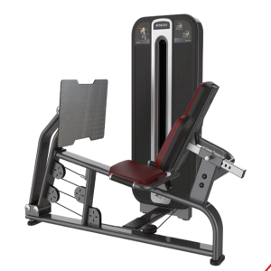 Leg Press Sentado