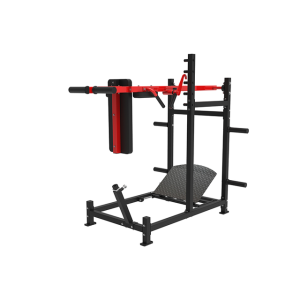 F22 PENDULUM TRAINER